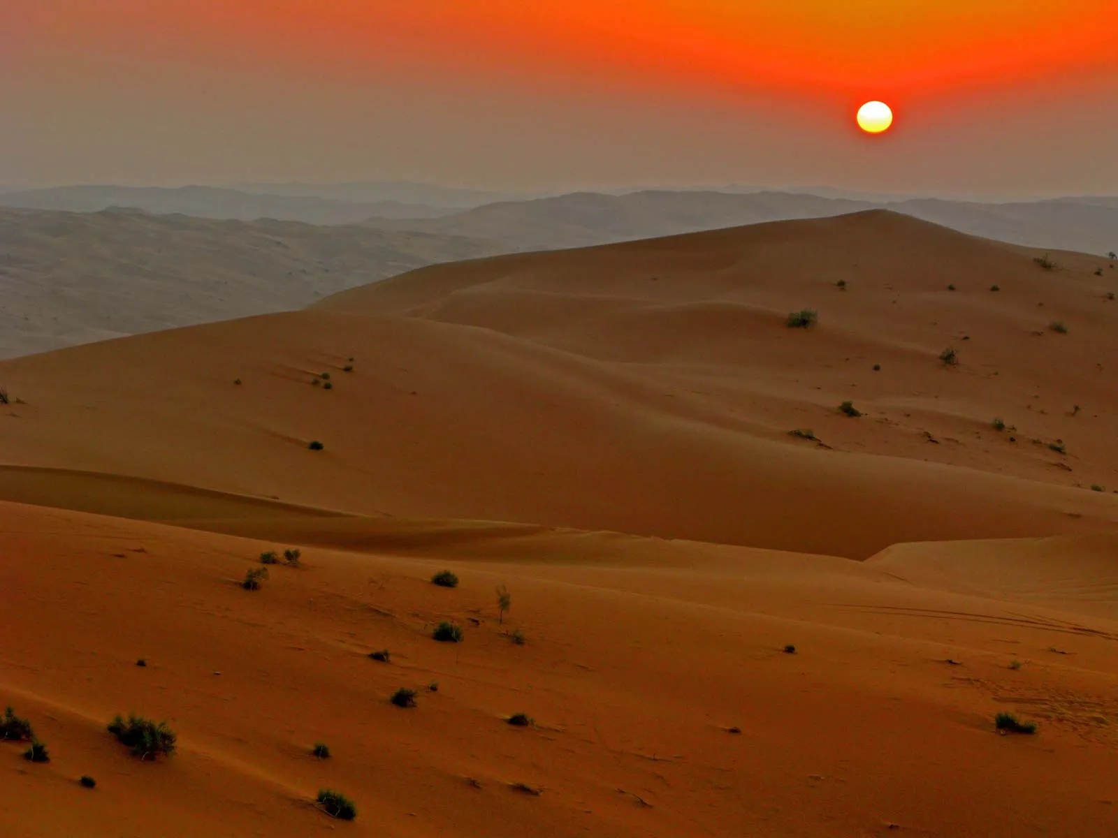 Desert Safari and Sun Set
